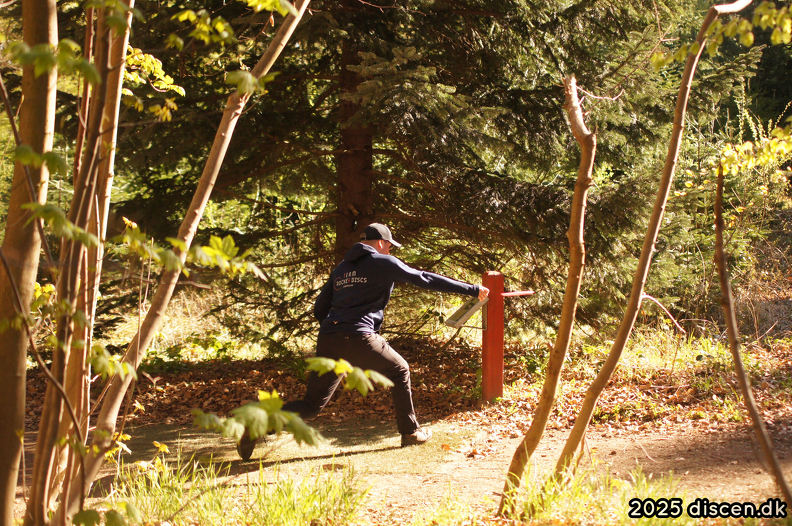 discen08-2025-04-27_09-34-41.png