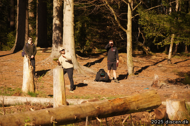 discen09-2025-04-27_09-42-25.png