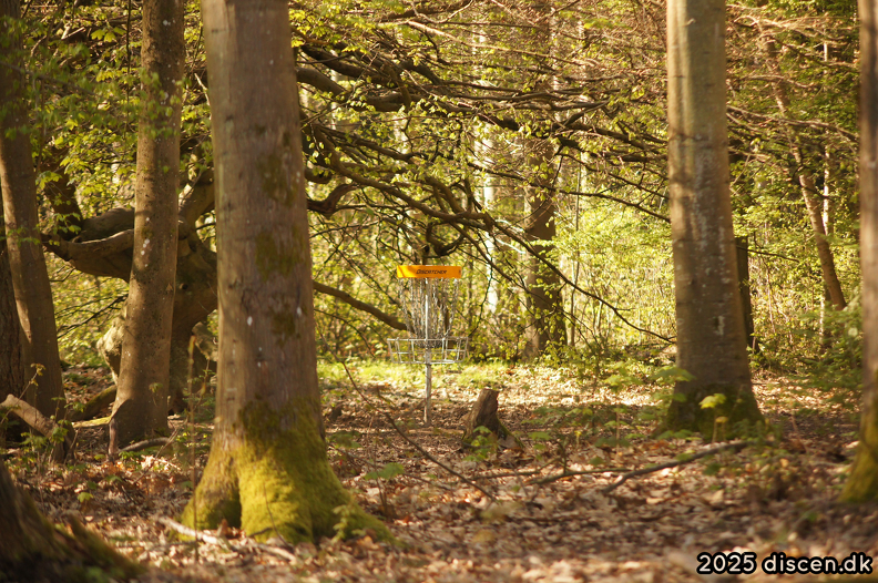 discen01-2025-04-27_09-23-29.png