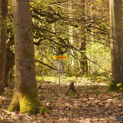 discen01-2025-04-27 09-23-29