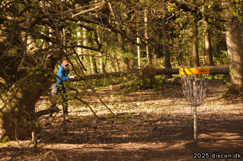 discen03-2025-04-27_09-25-20.png